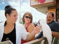 photos 2000-200901460